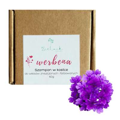 ZIELNIK Szampon do włosów farbowanych i zniszczonych chemią fryzjerską Werberna, w kostce, 60g